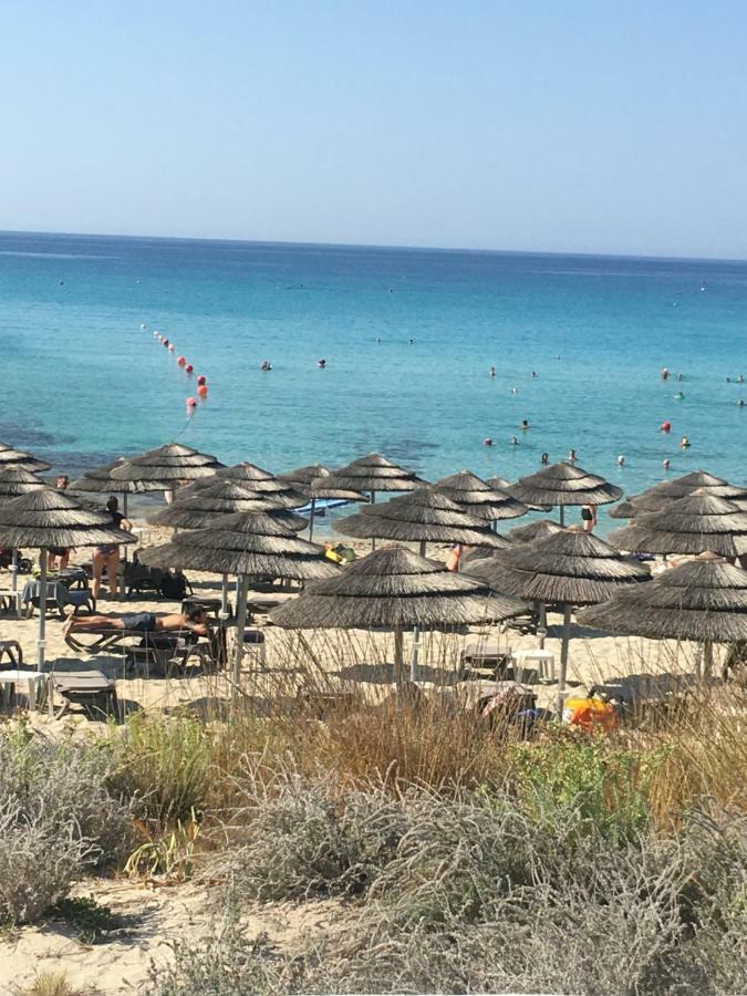 Narcissos 'Nissi Beach' Apartment C12 Ayia Napa Exteriér fotografie